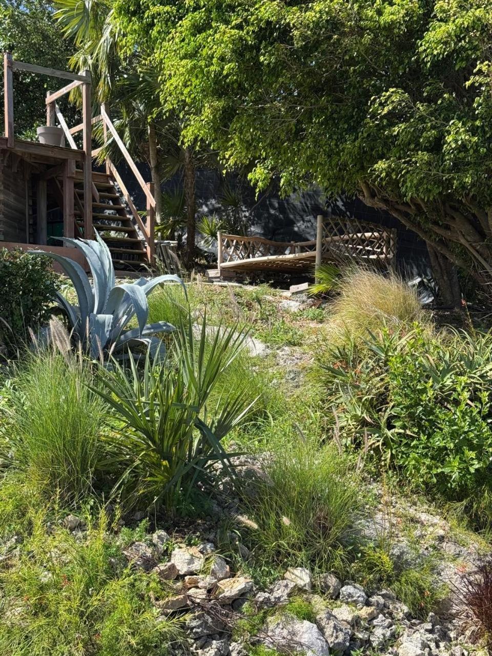 Villa Fleurie Le Moule Εξωτερικό φωτογραφία